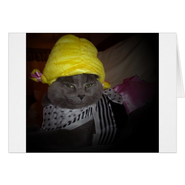 Sock Hop-Kat (Voorkant Horizontaal)