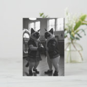 Sock Hop Katten (Staand voorkant)