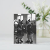 Sock Hop Katten Briefkaart (Staand voorkant)