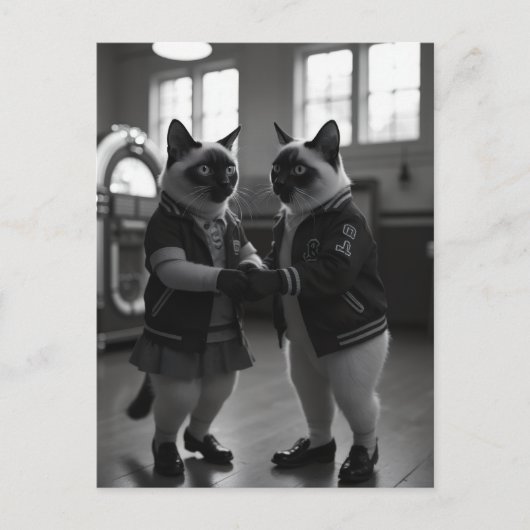 Sock Hop Katten Briefkaart (Voorkant)