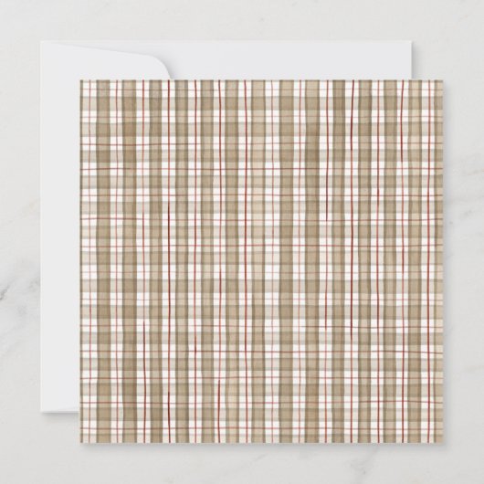 Sock Monkey, Boy Baby shower Invitation (Dos)