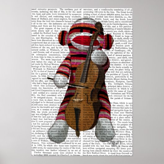 Sock Monkey en Cello Poster (Voorkant)