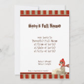 Sock Monkey, Red Wagon, Jongen Aankondiging (Achterkant)