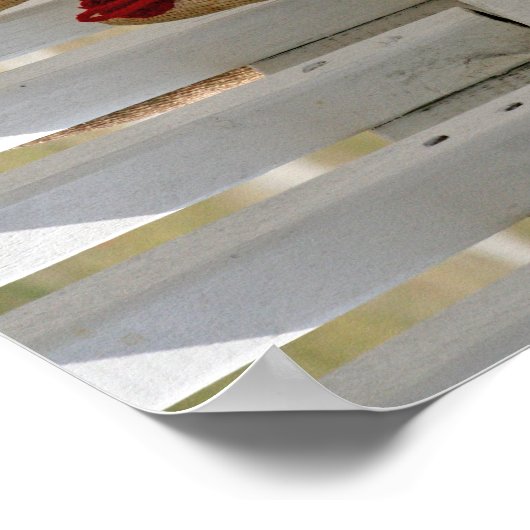 Socket Monkey 1 poster (Hoek)