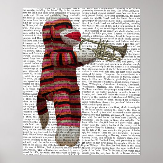 Socket Monkey-spelcomputer Poster (Voorkant)