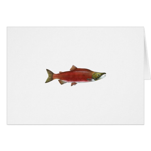 Sockeye Salmon (Voorkant Horizontaal)