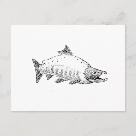 Sockeye Salmon line Art Briefkaart (Voorkant)