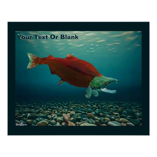 Sockeye Salmon Perfect Poster (Voorkant)