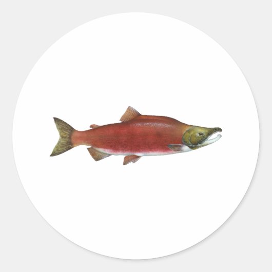 Sockeye Salmon Ronde Sticker (Voorkant)