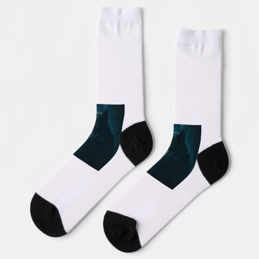 Socks  sokken (Links)
