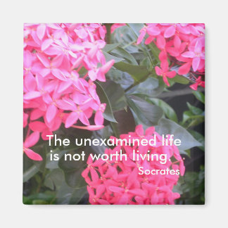 Socrates Motivatie Offertemagneet Magneet