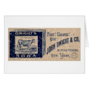 Soda-1879 de Dwight - en détresse