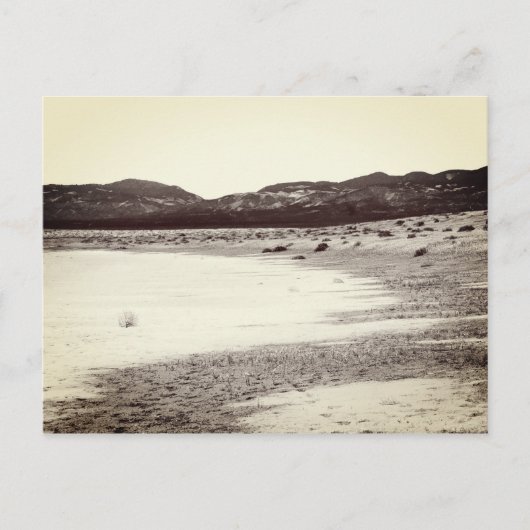 Soda Lake Carrizo Plain California Briefkaart (Voorkant)