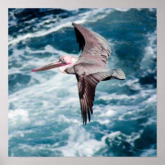 Soep Poster (Voorkant)