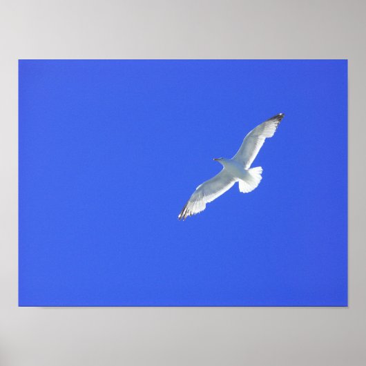 Soep Poster (Voorkant)