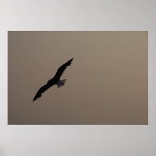 Soep Seagull Poster
