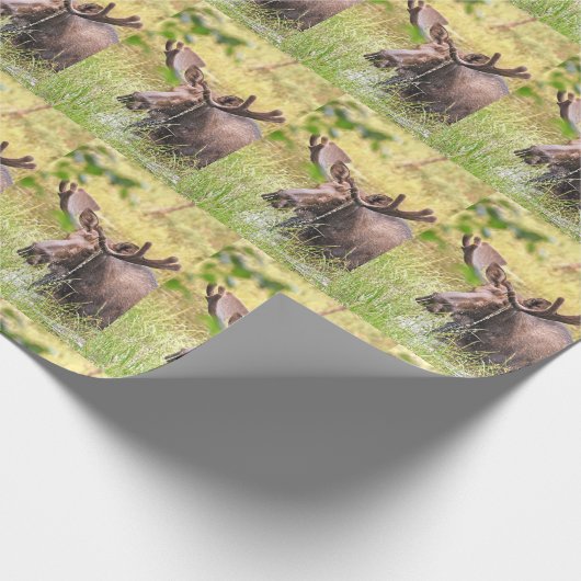 soepel omslagpapier cadeaupapier (Hoek)