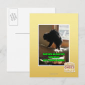 Sofa Bison Briefkaart (Voorkant / Achterkant)