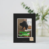 Sofa Bison Briefkaart (Staand voorkant)