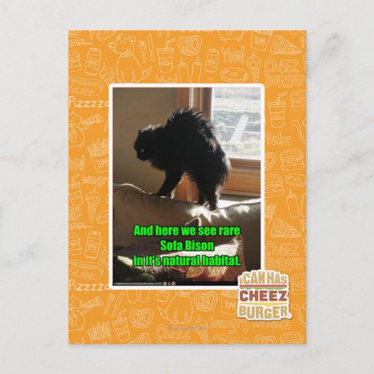 Sofa Bison Briefkaart (Voorkant)