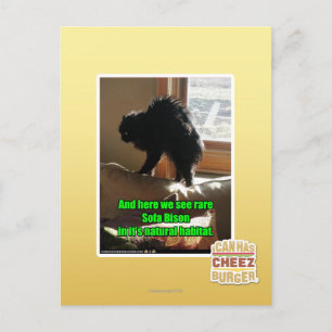 Sofa Bison Briefkaart