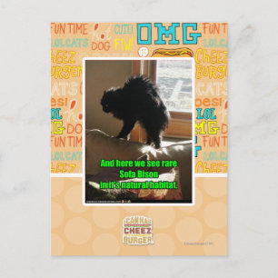 Sofa Bison Briefkaart