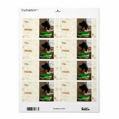 Sofa Bison Etiket (Full Sheet)