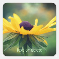 Soft Black Eyed Susan Flower Personalized
