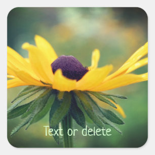 Soft Black Eyed Susan Flower Personalized Vierkante Sticker