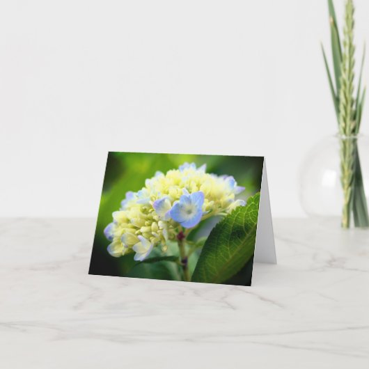 Soft Blue Hydrangea Flower Photography Note Kaart (Voorkant)