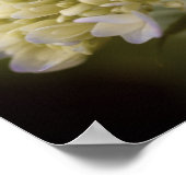 Soft Blue Hydrangea Flower  Tint Poster (Hoek)