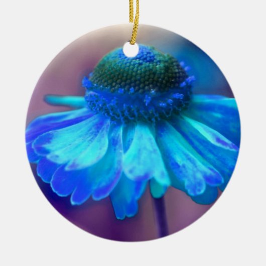 Soft Blue Zinnia Flower Ornament (Voorkant)