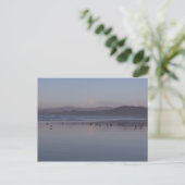 Soft California Coast Sunset Briefkaart (Staand voorkant)