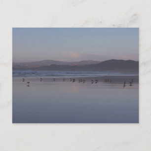 Soft California Coast Sunset Briefkaart