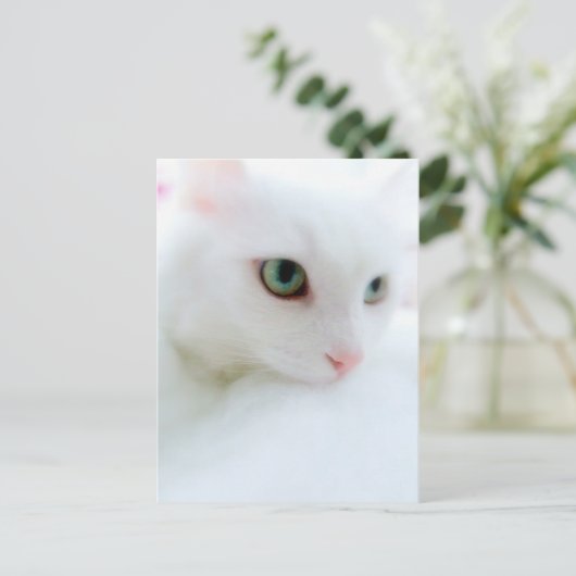 Soft Clouds Briefkaart (Staand voorkant)