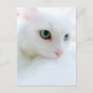 Soft Clouds Briefkaart