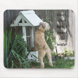Soft Coated Wheaten Terrier op wens Muismat