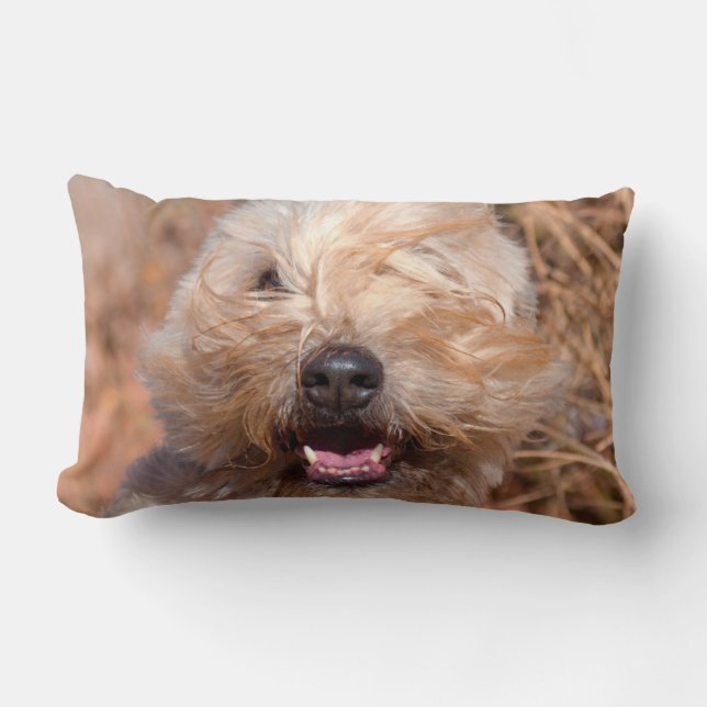 Soft Coated Wheaten Terrier portret Kussen (Voorkant)
