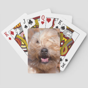 Soft Coated Wheaten Terrier portret Pokerkaarten