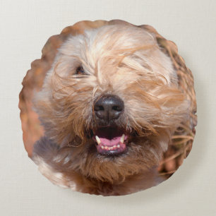 Soft Coated Wheaten Terrier portret Rond Kussen