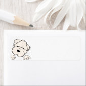 soft coated wheten terrier peeking etiket (Insitu)