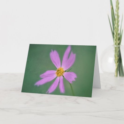 Soft Cosmos Flower Art-Kaart Kaart (Voorkant)