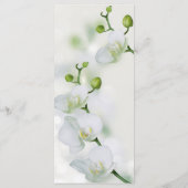 Soft Elegant Orchid Menu (Achterkant)