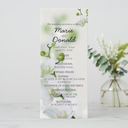 Soft Elegant Orchid Programma (Staand voorkant)