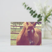 Soft Focus Scotch Briefkaart (Staand voorkant)