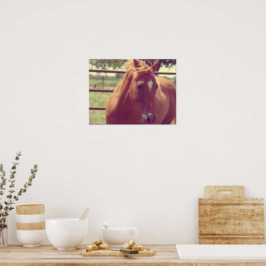 Soft Focus Scotch Poster (Keuken)