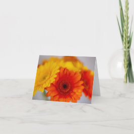 Soft Gerber Bunch Kaart