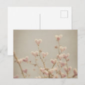 Soft Heart Blossom Postcard – Romantic Botanical Briefkaart (Voorkant / Achterkant)