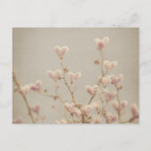 Soft Heart Blossom Postcard – Romantic Botanical Briefkaart (Voorkant)