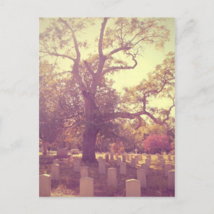 Soft Light Graveyard Briefkaart